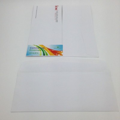 #10 American Standard Blank Envelope For Post and Office Uses